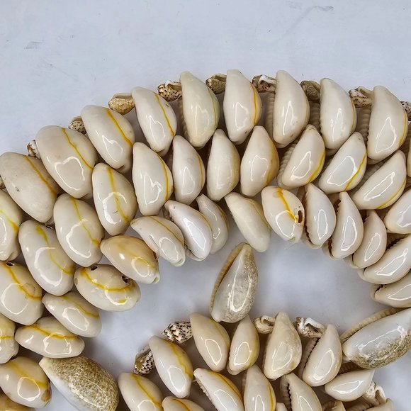 Natural Sea Shell Trivet Hot Pad Doily Nautical Wall Decor Beach House 9” - Picture 5 of 7